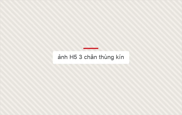 ảnh H5 3 chân thùng kín