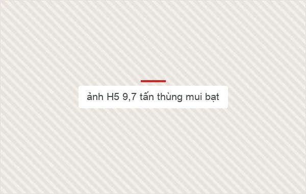 ảnh H5 9,7 tấn thùng mui bạt