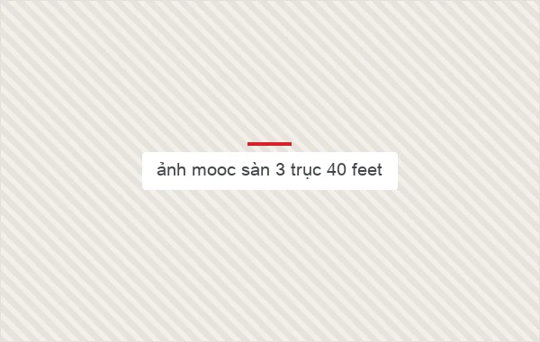 ảnh mooc sàn 3 trục 40 feet