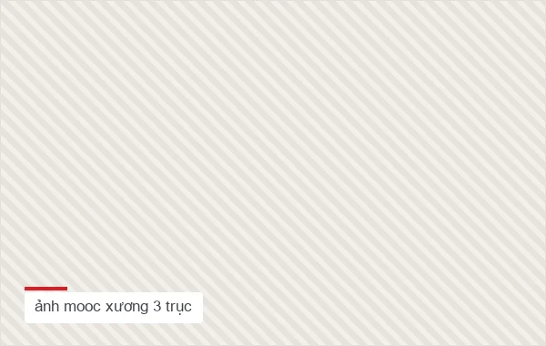 ảnh mooc xương 3 trục